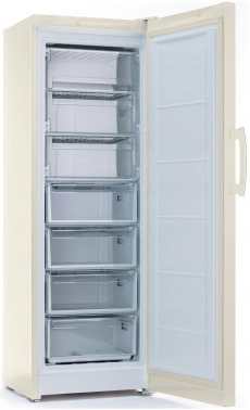 Морозильная камера Indesit DSZ 5175 E