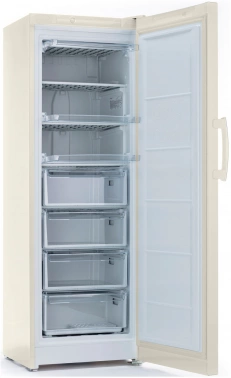 Морозильная камера Indesit DSZ 5175 E