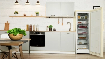 Морозильная камера Indesit DSZ 5175 E