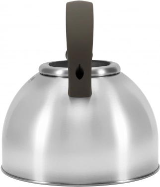 Чайник металлический Rondell Balance RDS-434