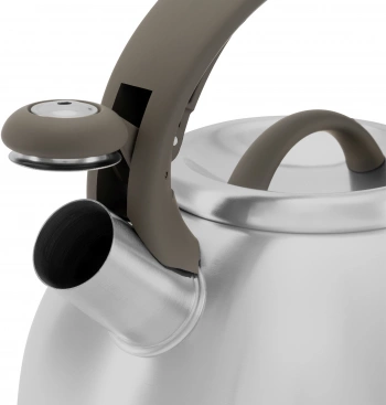 Чайник металлический Rondell Balance RDS-434