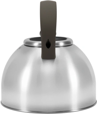 Чайник металлический Rondell Balance RDS-434