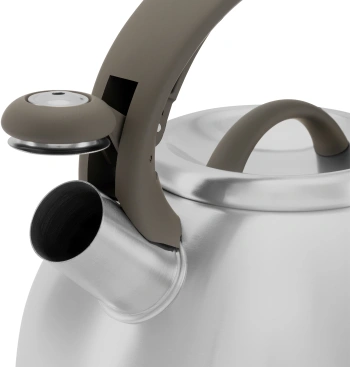 Чайник металлический Rondell Balance RDS-434