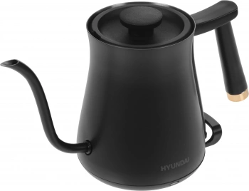 Чайник электрический Hyundai HYK-S5500