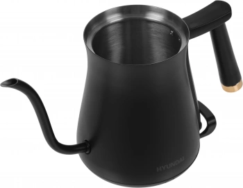 Чайник электрический Hyundai HYK-S5500