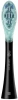 2056981_v02_s.webp