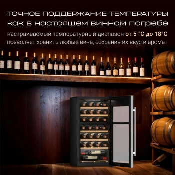 Винный шкаф Tesler CWC-300