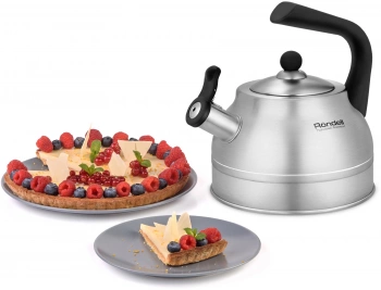 Чайник металлический Rondell Frank RDS-1861