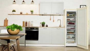 Морозильная камера Indesit DSZ 5175 E