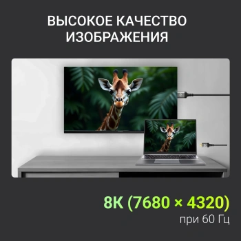 Кабель аудио-видео Digma HDMI (m)/HDMI (m) 5м. феррит.кольца позолоч.конт. черный (D-HDMI-2FF-V2.1-5M)