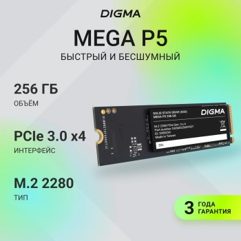 Накопитель SSD Digma PCIe 3.0 x4 256GB DGSM3256GP53T