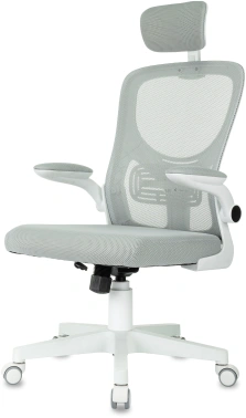 Кресло Бюрократ  MC-W101-H