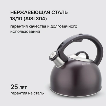 Чайник металлический Rondell Tierno RDS-1900