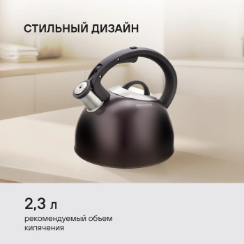 Чайник металлический Rondell Tierno RDS-1900