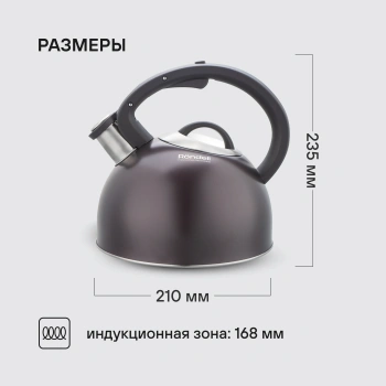 Чайник металлический Rondell Tierno RDS-1900