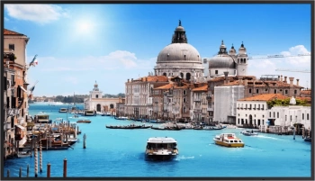 Монитор Dahua DHI-LM55-S200