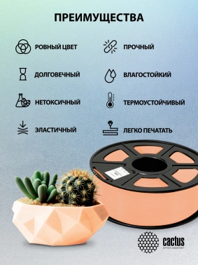 Пластик для принтера 3D Cactus CS-3D-ABS-1KG-SKIN