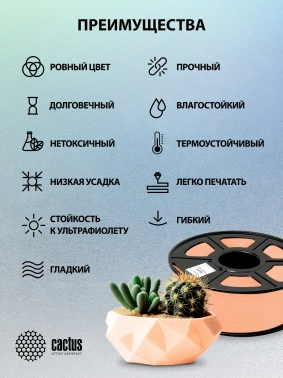 Пластик для принтера 3D Cactus CS-3D-PETG-1KG-SKIN