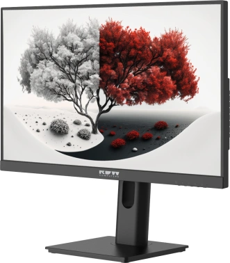 Монитор RDW Computers 23.8