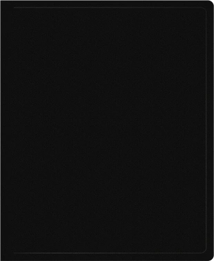 Папка на 2-х кольцах Silwerhof Eco SE-0413/2RBLK A4 пластик 0.5мм кор.18мм черный