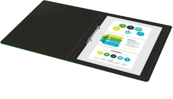 Папка на 2-х кольцах Silwerhof Eco SE-0413/2RBLK A4 пластик 0.5мм кор.18мм черный