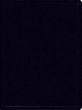 Папка с 10 прозр.вклад. Silwerhof Eco SE-V10BLK A4 пластик 0.5мм черный