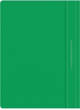 Папка-скоросшиватель Silwerhof Eco SE-PSE20/GRN A4 прозрач.верх.лист пластик зеленый 0.11/0.13