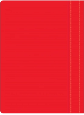 Папка-скоросшиватель Silwerhof Eco SE-PSE20/RED A4 прозрач.верх.лист пластик красный 0.11/0.13