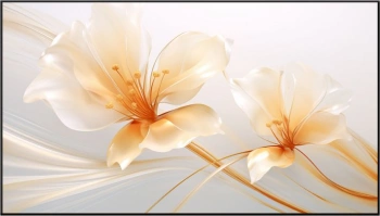 Экран на раме Xgimi 100