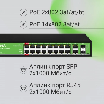 Коммутатор Digma  DSP216G-2G-2S-R300