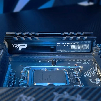 Память DDR5 24GB 5600MHz Patriot  PSP524G560081H1