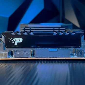 Память DDR5 24GB 5600MHz Patriot  PSP524G560081H1