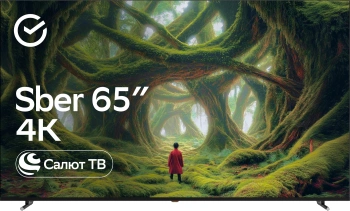 Телевизор LED Sber 65