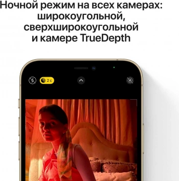 Смартфон Apple iPhone 12 Pro Max 256Gb 6Gb 