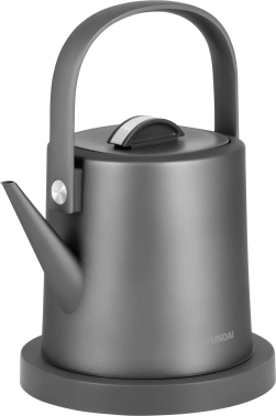 Чайник электрический Hyundai HYK-S5502