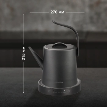 Чайник электрический Hyundai HYK-S5503