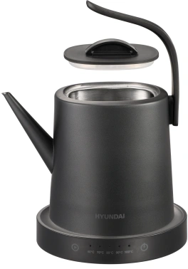 Чайник электрический Hyundai HYK-S5503