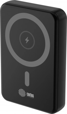 Мобильный аккумулятор Cactus  CS-PBFSUA-10000