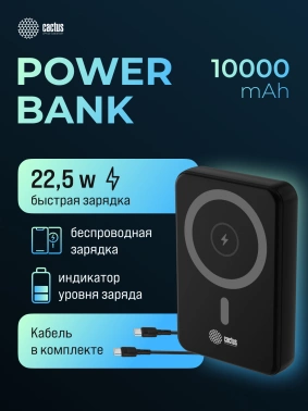 Мобильный аккумулятор Cactus  CS-PBFSUA-10000