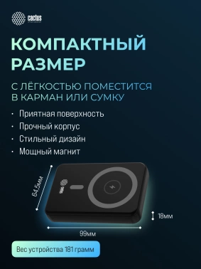 Мобильный аккумулятор Cactus  CS-PBFSUA-10000