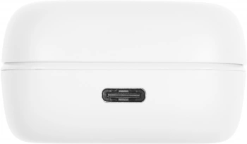 Наушники внутриканальные Sennheiser Accentum True Wireless