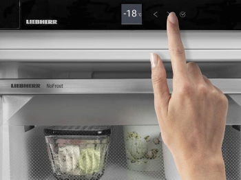 Холодильник Liebherr XRF 5220 (SRd 5220+SFNd 5227)