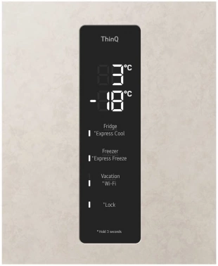 Холодильник LG GC-B459AEMW