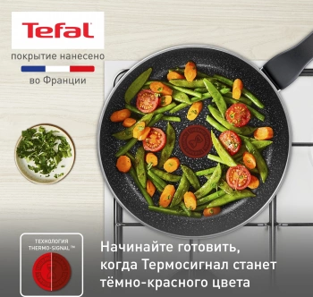 Сковорода Tefal Rock 04235126