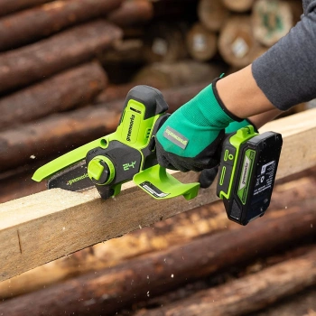 Цепная пила Greenworks  G24MCS10