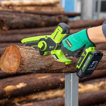 Цепная пила Greenworks  G24MCS10