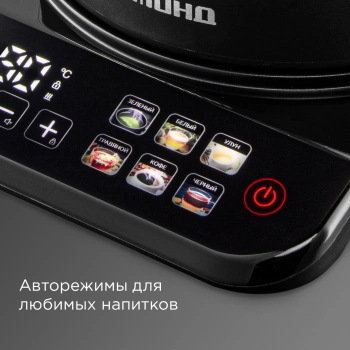 Чайник электрический Редмонд KG220