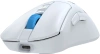 2076538_v03_s.webp