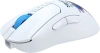 2076538_v13_s.webp