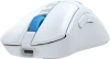 2076538_v17_s.webp